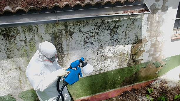 Top rated local Attic Mold Remediation specialists in Greenbush, VA